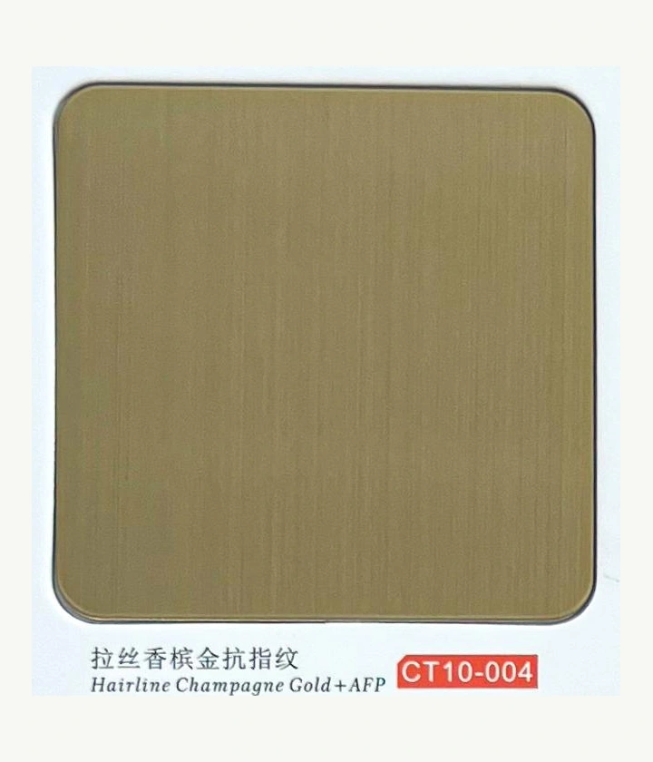 CT10-004 Hairline Champagne stainless steel physical sample